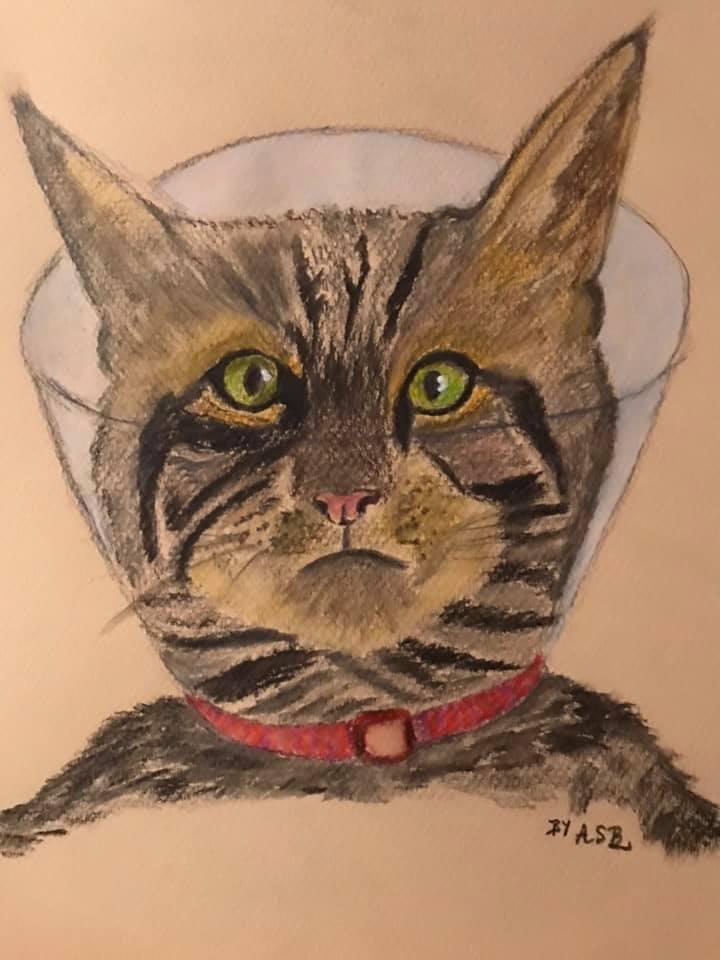 Custom commissioned portrait of your pet / puppy by Andrea at aciremA.com
