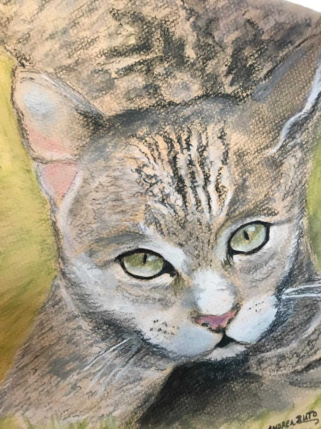 Artist Andrea B. can be commissioned to do a portrait of your beloved pet, kitten or puppy, cat or dog, from a quality photograph - at aciremA.com.