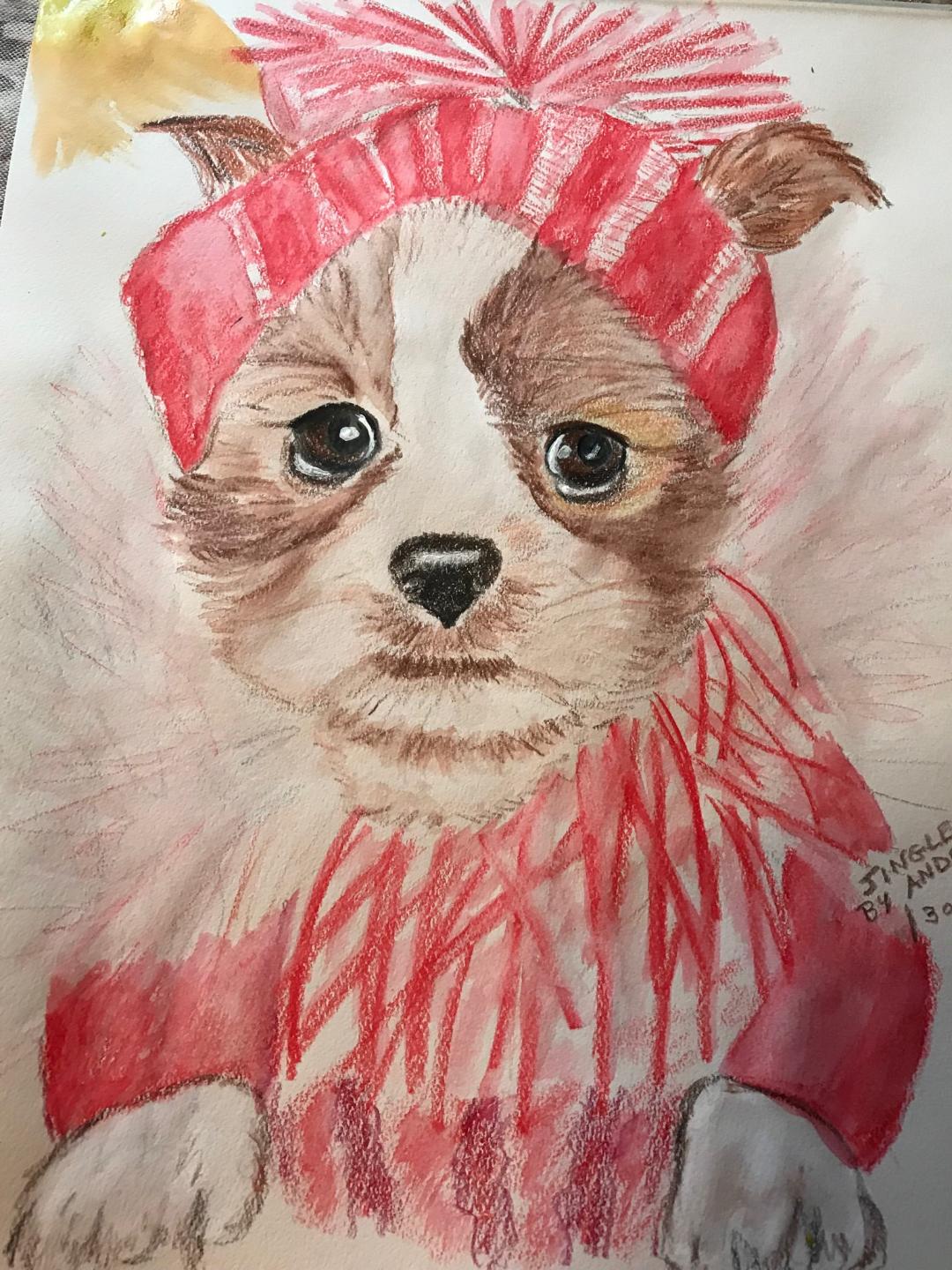 Portrait of pet puppy with Christmas hat by Grammy Puppy. Copyright 2020 by Andrea Buto, and all rights reserved.